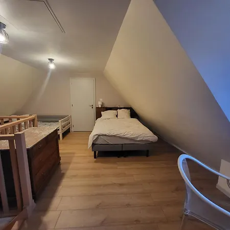 Prázdninový dům Maison De Alsacienne Sur La Route Des Vins Dambach